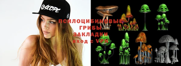 ГАЛЛЮЦИНОГЕННЫЕ ГРИБЫ Михайлов
