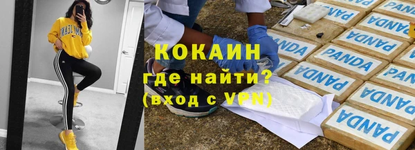 гидра Михайловка