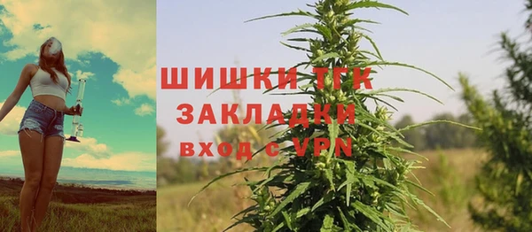 гидра Михайловка