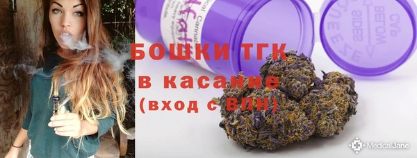 ГАЛЛЮЦИНОГЕННЫЕ ГРИБЫ Михайлов